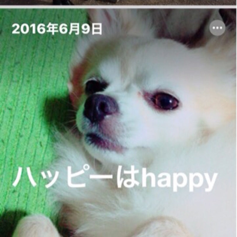 小谷里美