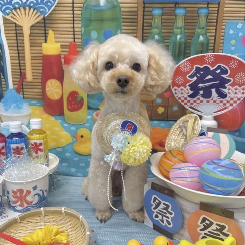 太田恵