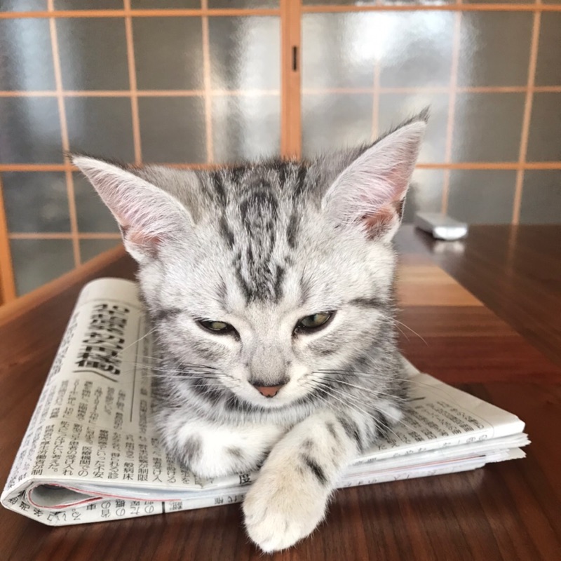 たなか
