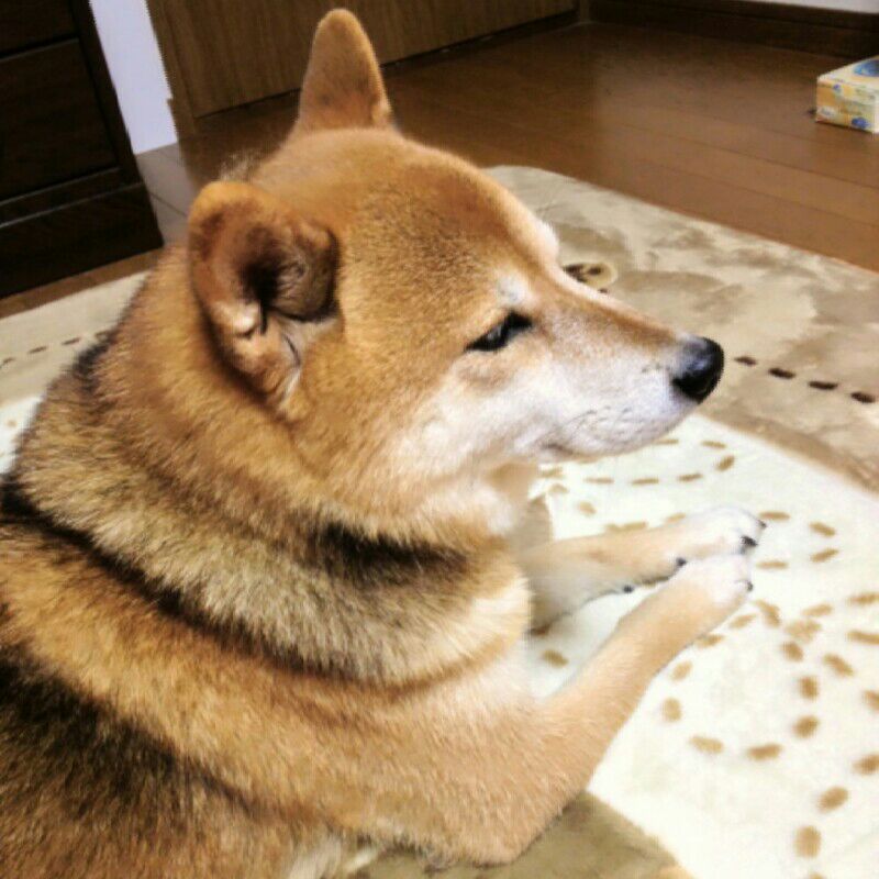 イシミツ
