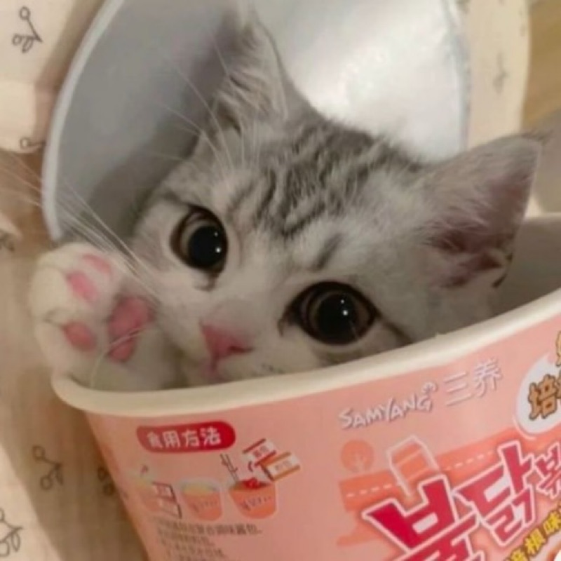 三浦彩愛