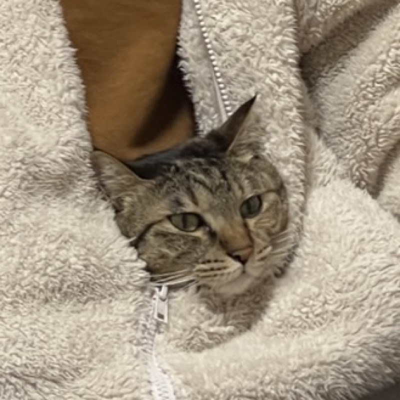 ♡