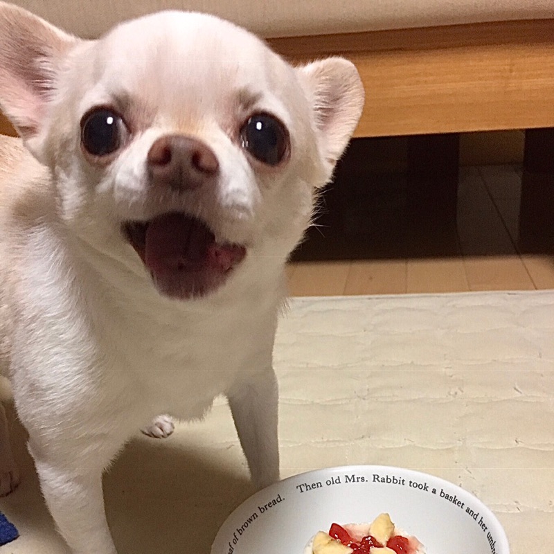 Kyo