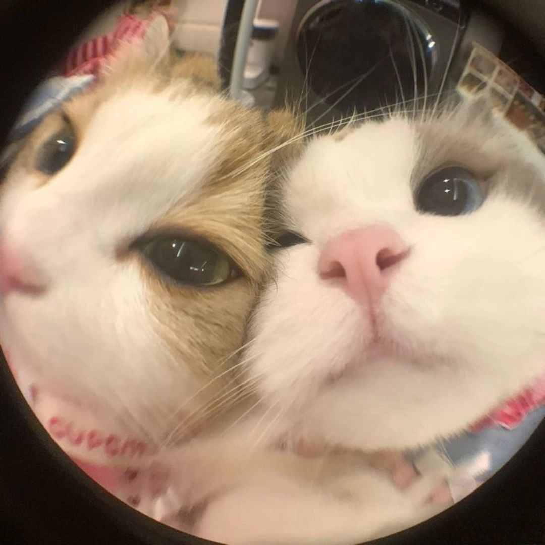 Ruuu