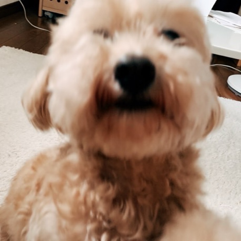 mahiro