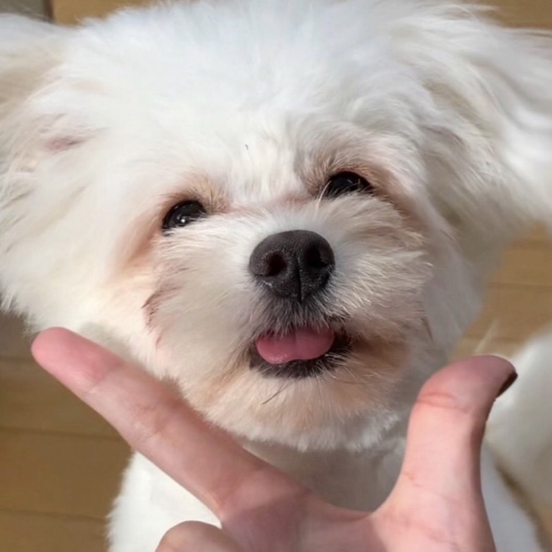 フ