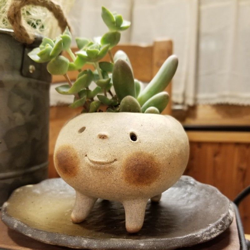 あずきちゃん