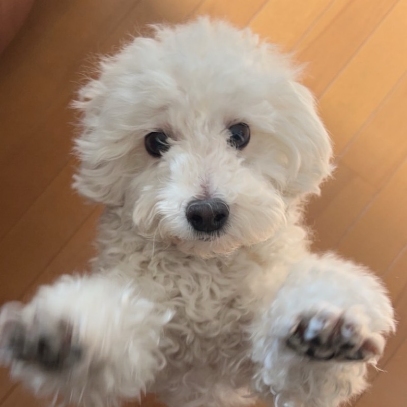 えみ