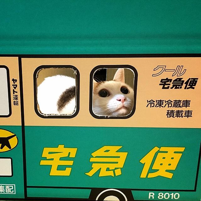 めぐみ