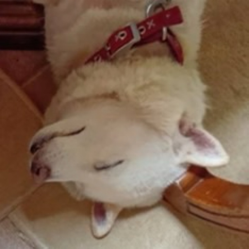 田中豪