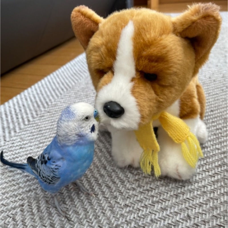 ゆっこ