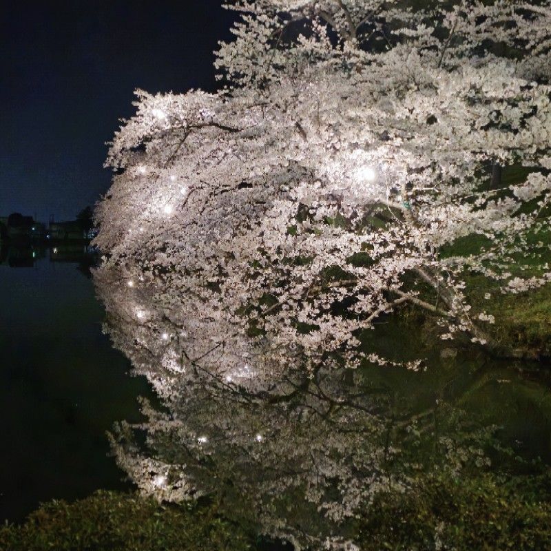 安部 主馬