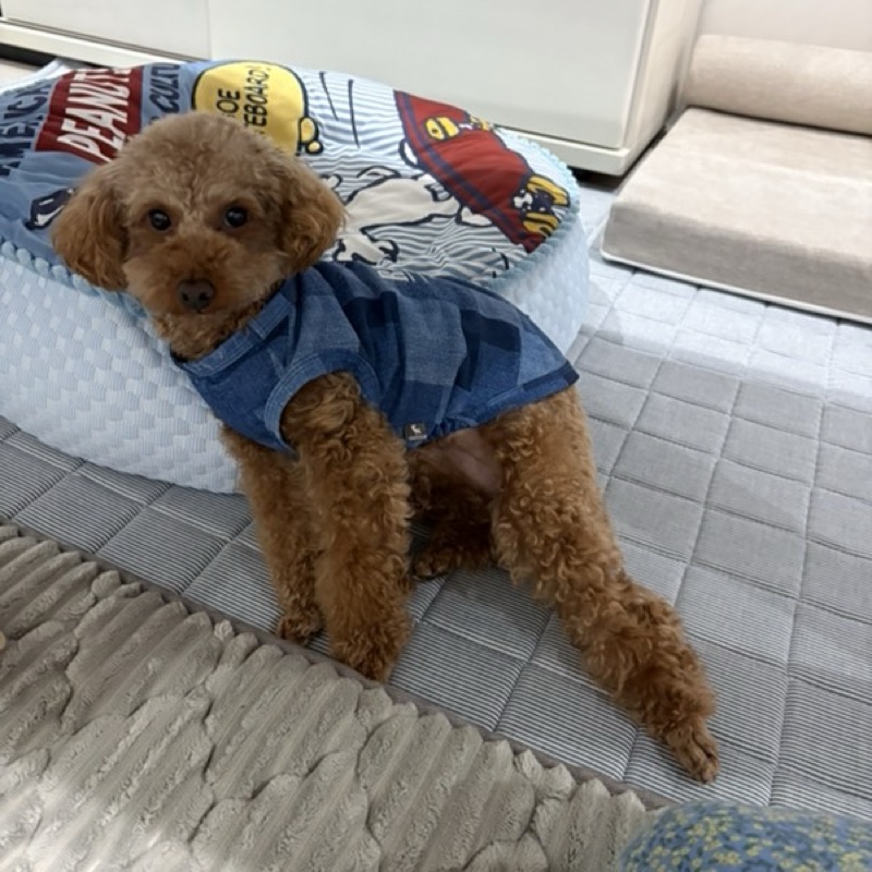 ゆみ