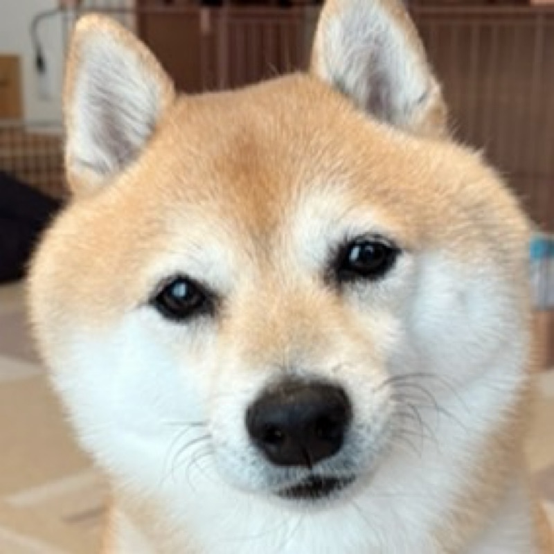 ゆ