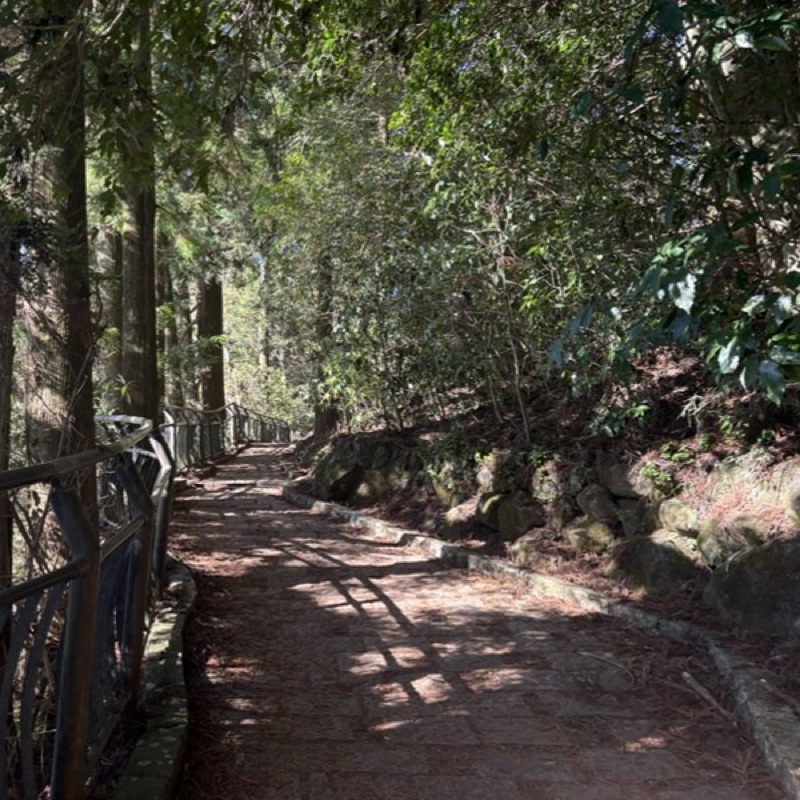 村橋勇樹