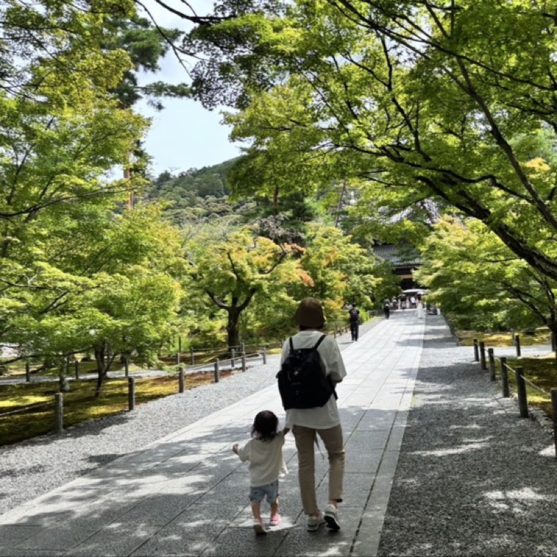 まつもとゆき