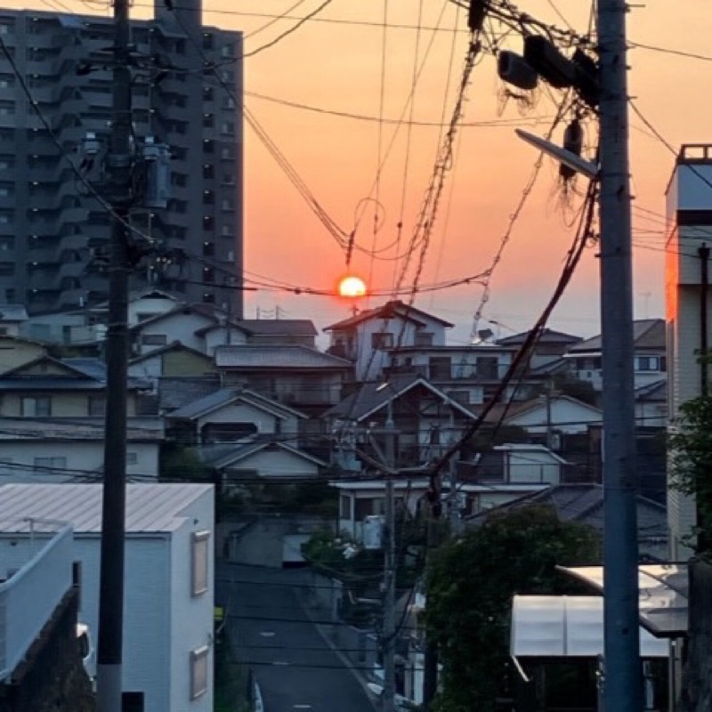 山本泰子