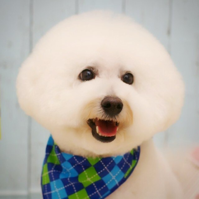 YUKO 
