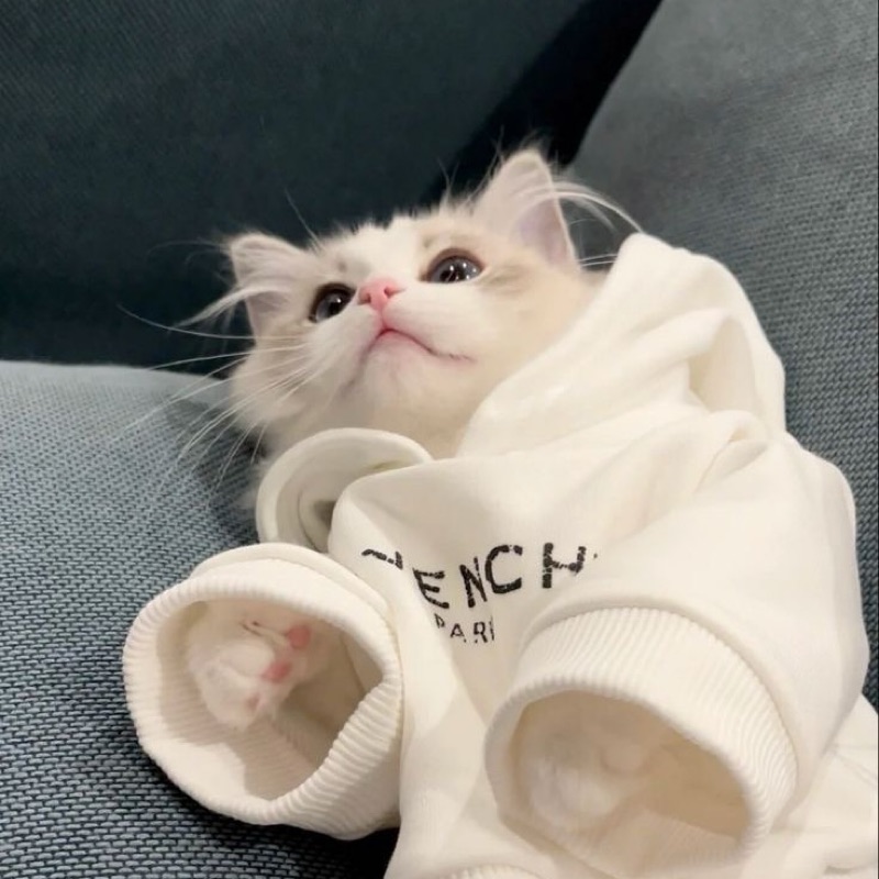 こころ