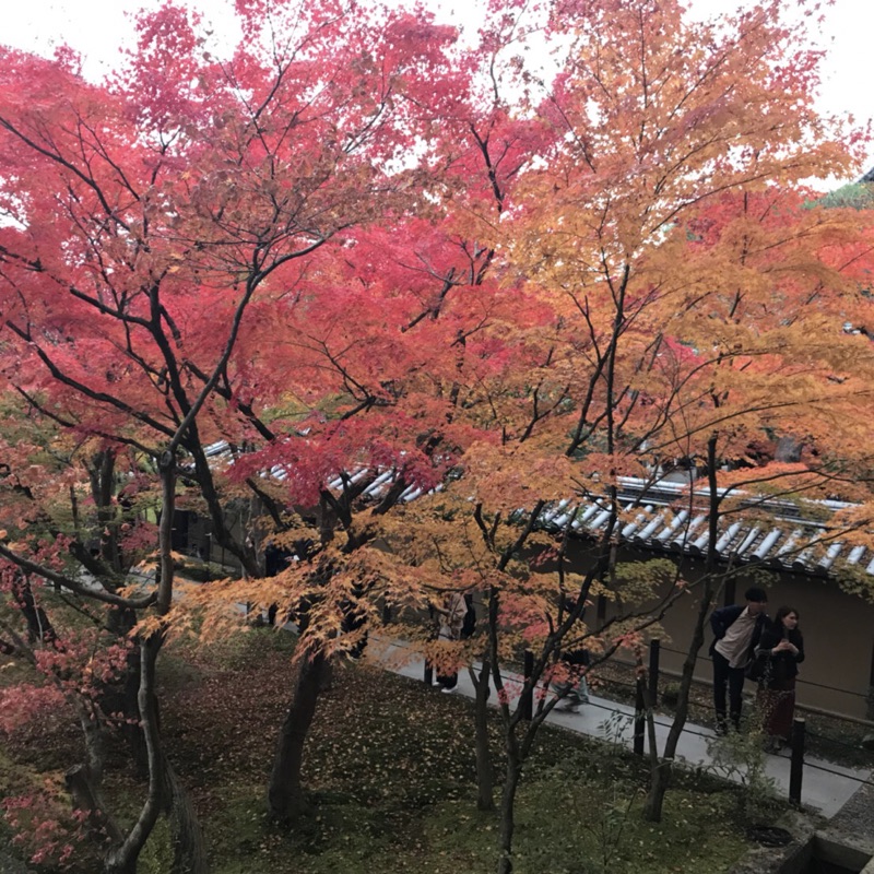 こういち