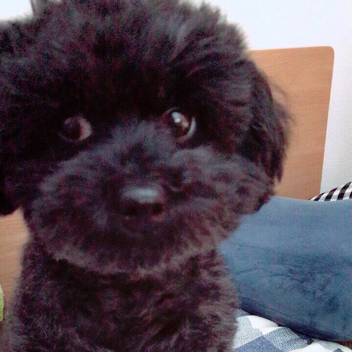 あつこ
