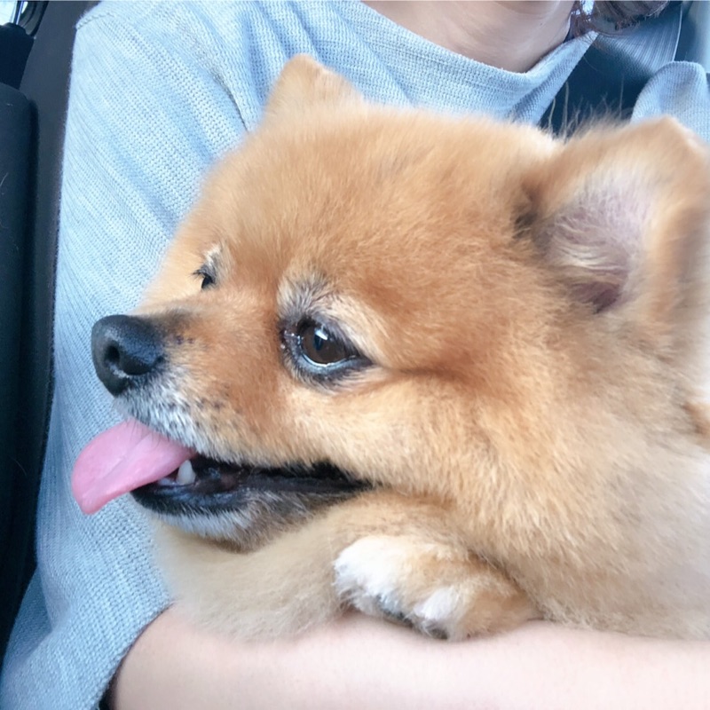 藤田さとみ