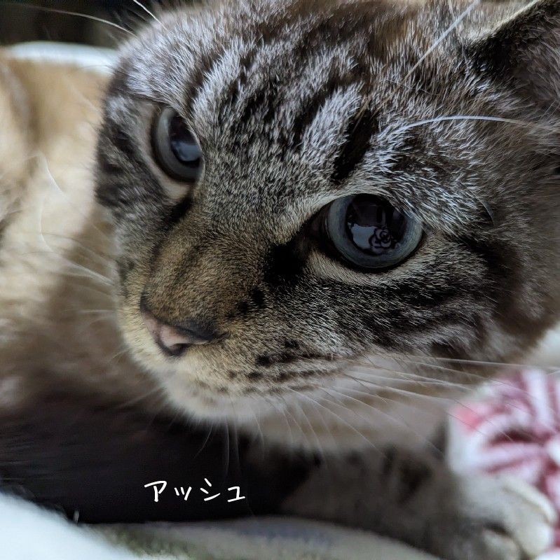 澤井　恵美子