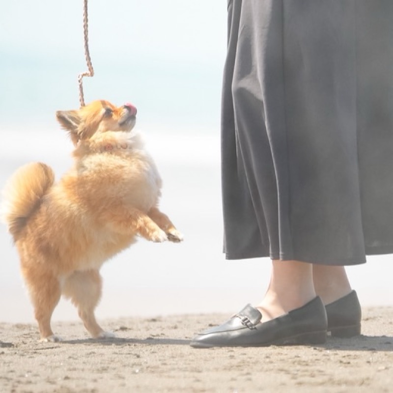 えみ