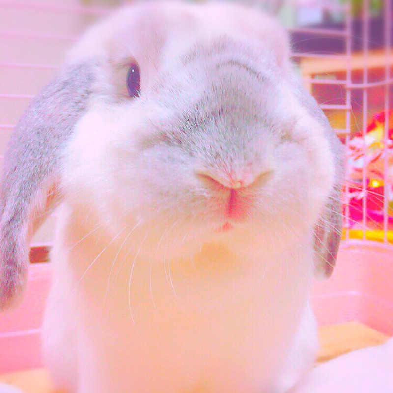 emi