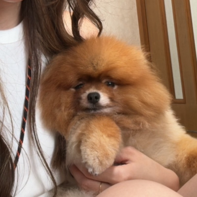 にら