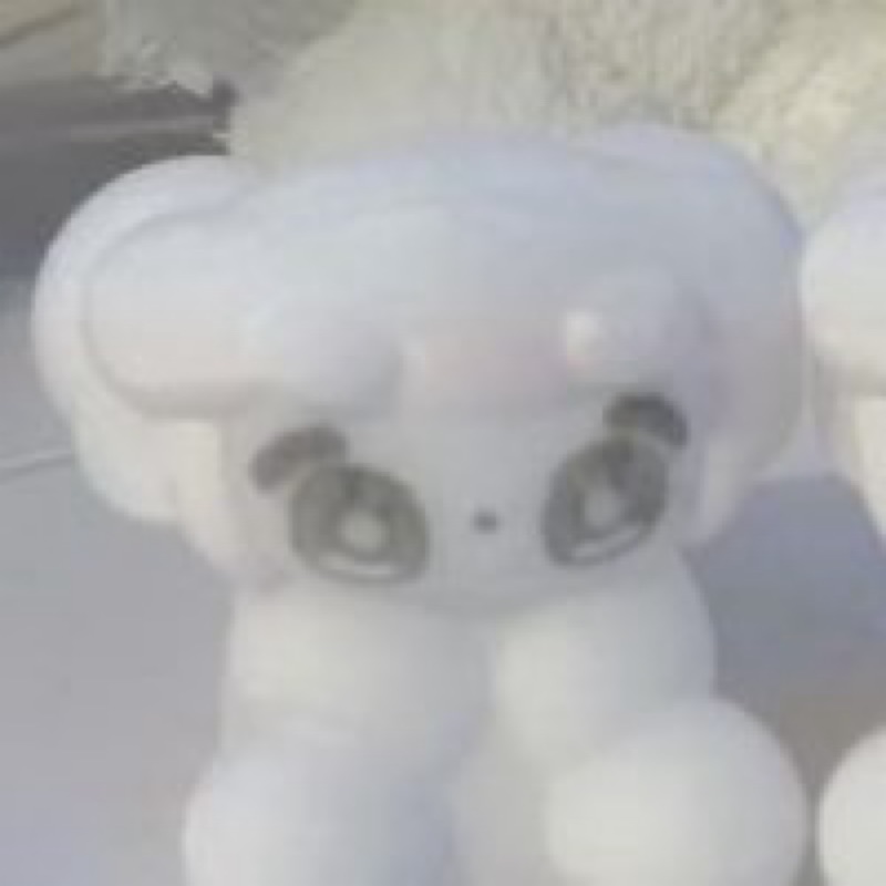 田上 紗希