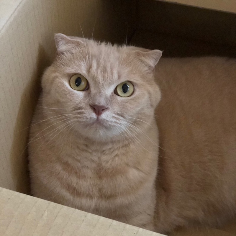 まるお🐱🐾