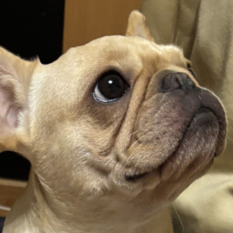 たがわ