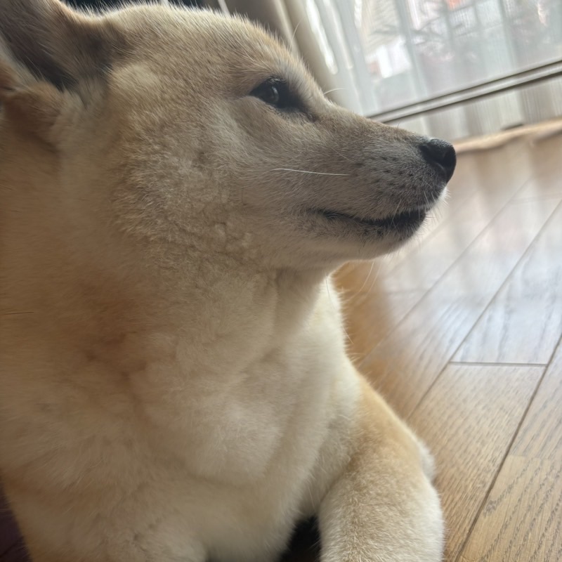 みか