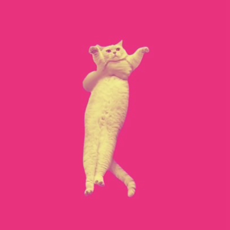 🐈