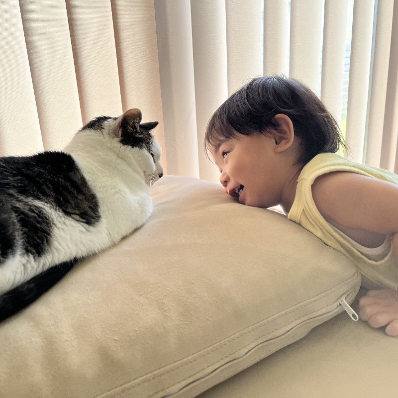 さわゆ