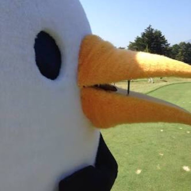 あっこまん