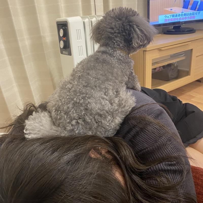 かなこ
