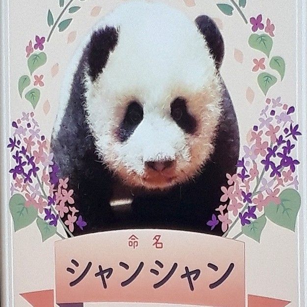 ゆっこ