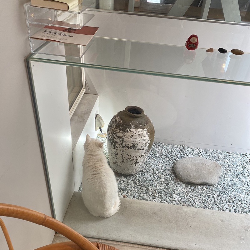 伏見谷由佳
