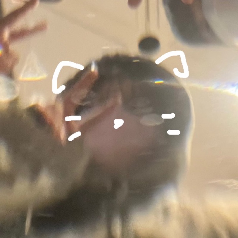 asumi