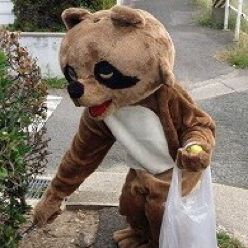 ノシ