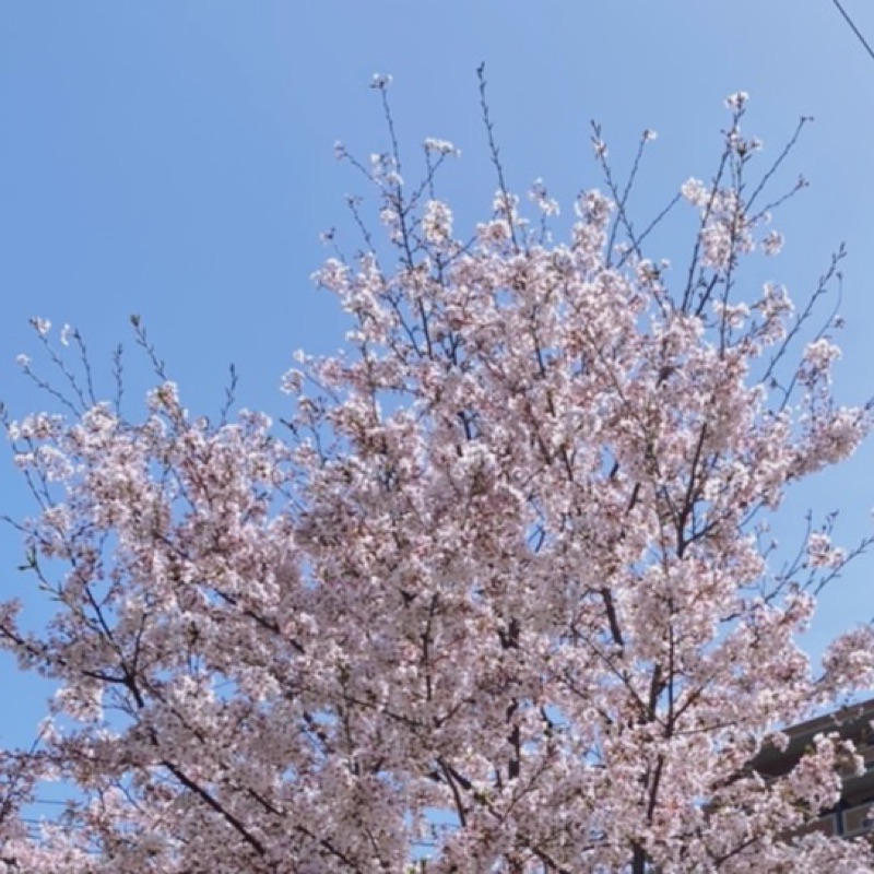 Nagi