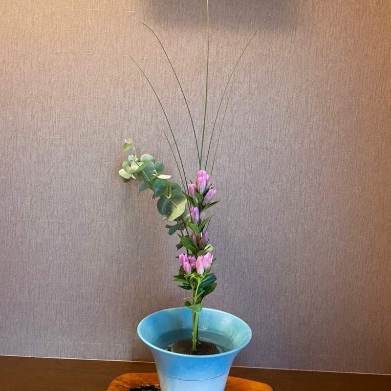 菅波優