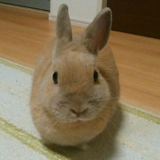 末永 裕一朗