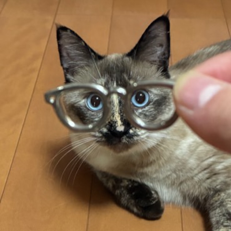 由佳