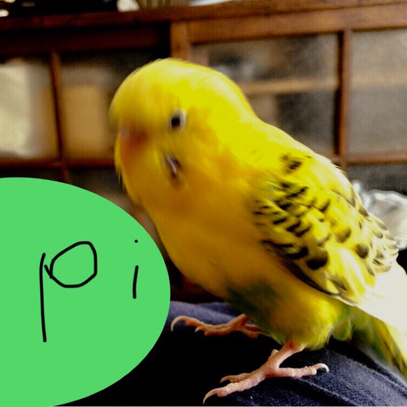矢戸　千博
