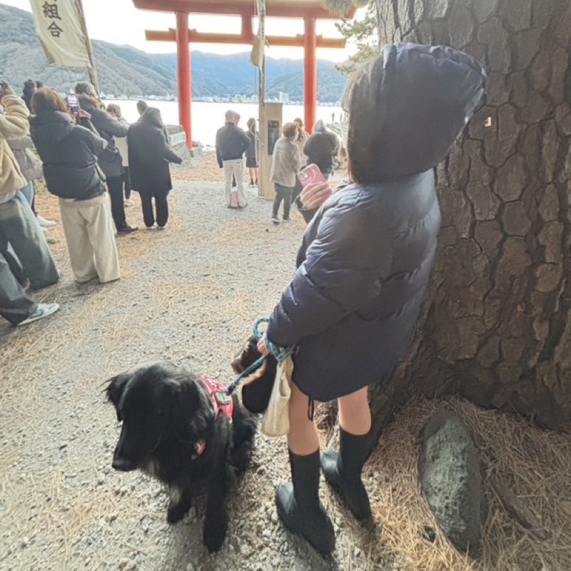 高尾希望美