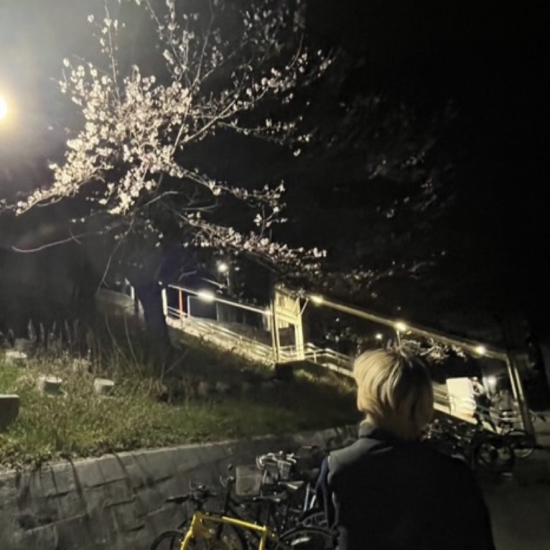 藤崎四季