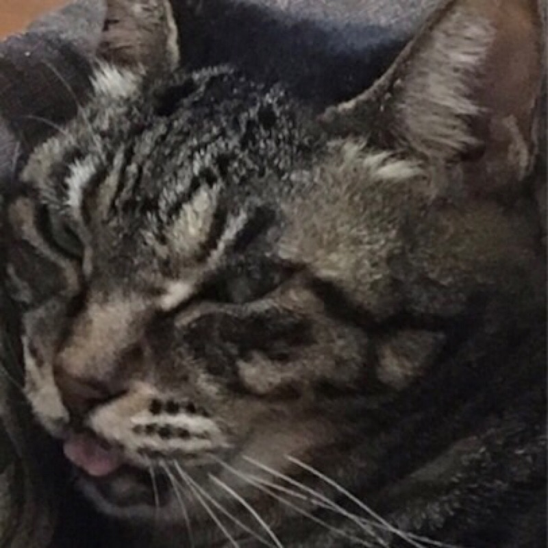 木村　旬太